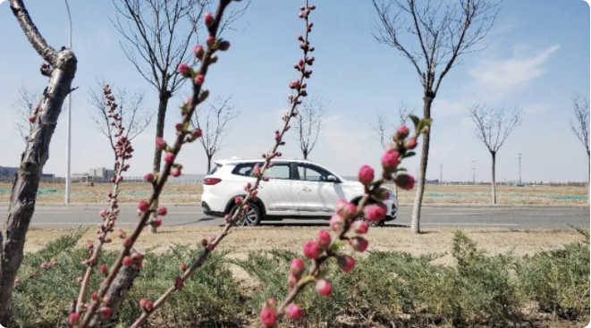 車主風(fēng)采志|這才是"后浪"們值得入手的SUV！