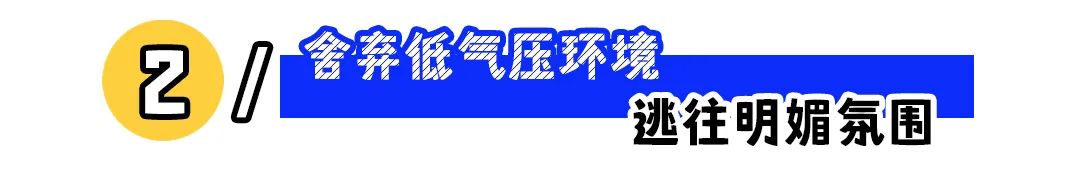 你會選擇工資高但不快樂的工作嗎？